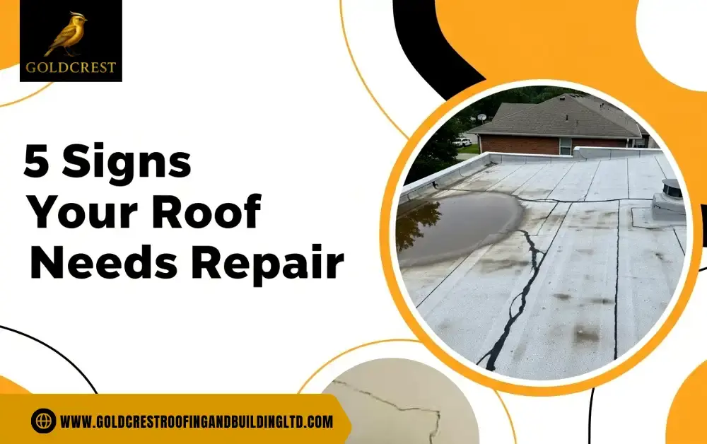 5 Signs Your Roof Needs Repair