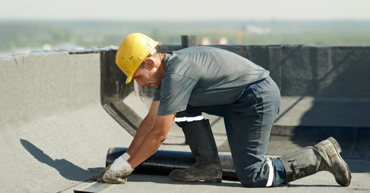9 Common Flat Roof Problems Every Lewisham Homeowner Should Know 3 Roof Problems