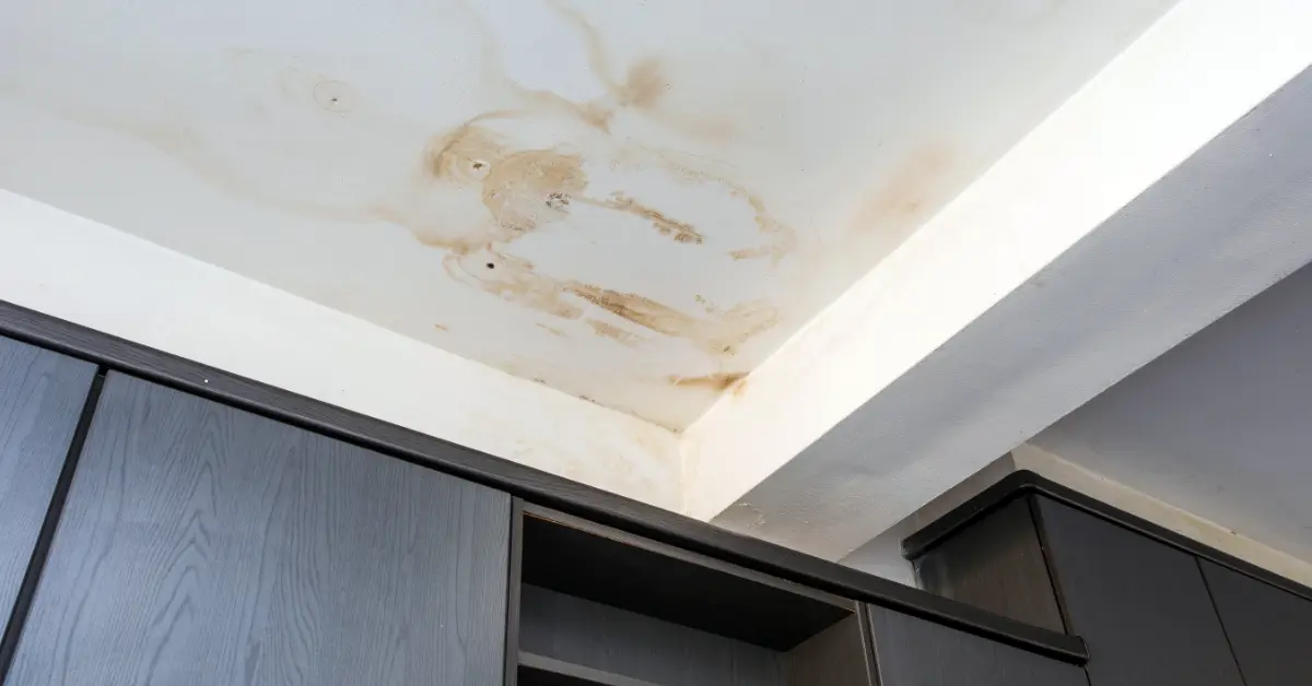 How to Detect a Roof Leak in Lewisham Before It Becomes a Major Problem 3 Roof Leak